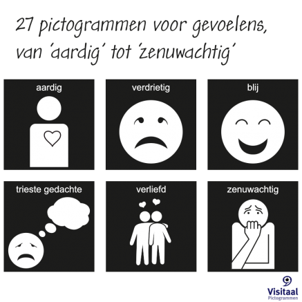 pictogrammen gevoelens visitaa